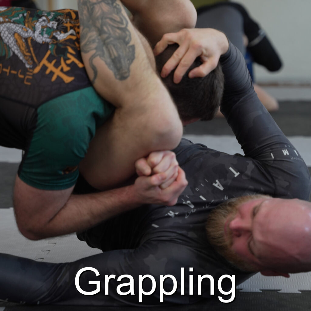 Das Foto zeigt zwei Kämpfer im NoGi-Grappling